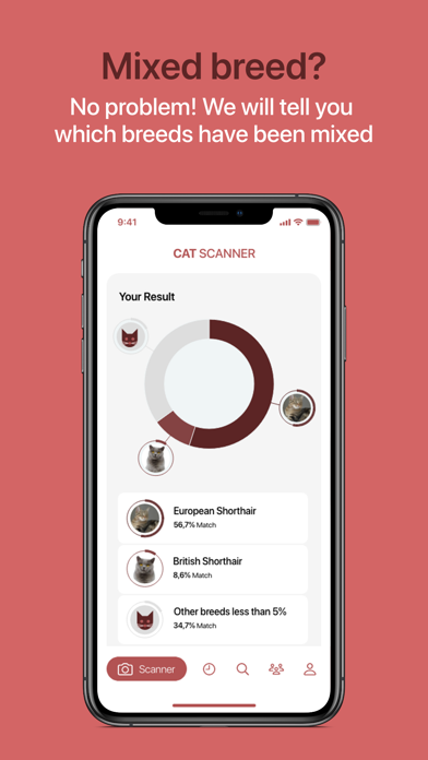 Cat Scanner screenshot 2