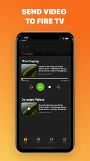 web video caster: fire tv cast iphone screenshot 4