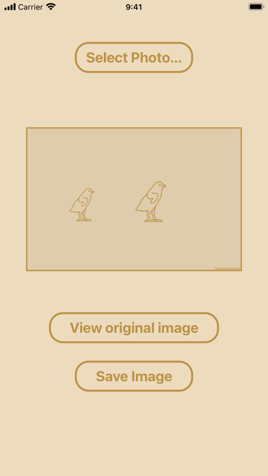 Egyptian Hieroglyphs Photo Screenshot