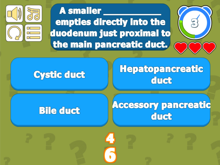 Digestive QZ Liver Gallbladder