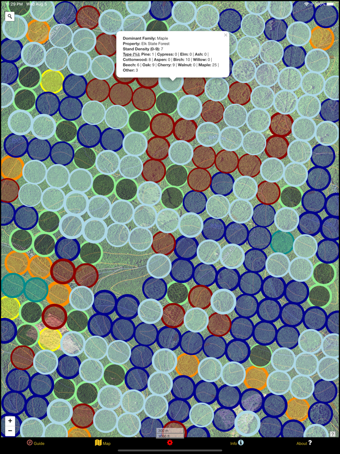 Allegheny Mushroom Forager PA