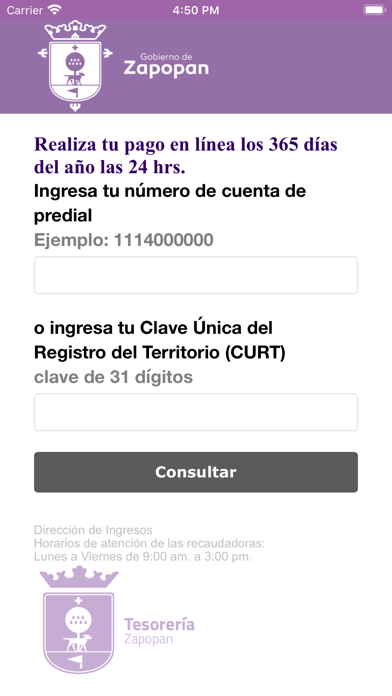 Zapopan: Pago en Línea Screenshot