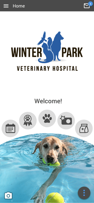 Winter Park Vet