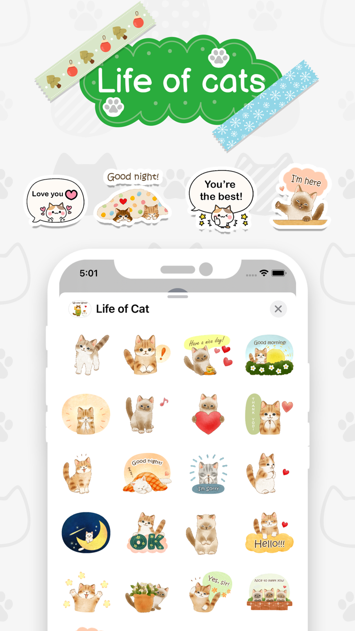 Life of Cat Animated