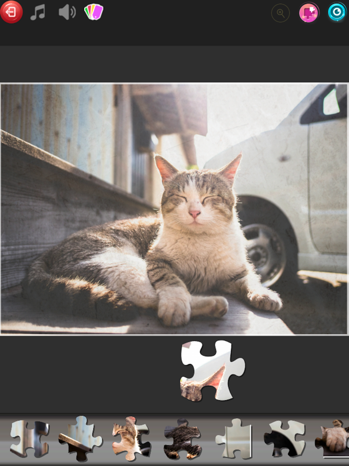 Jigsaw Puzzles -Brain games-