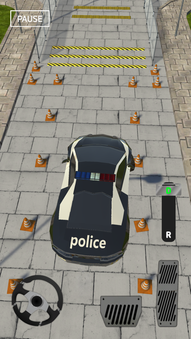Park The Car 3D Screenshot