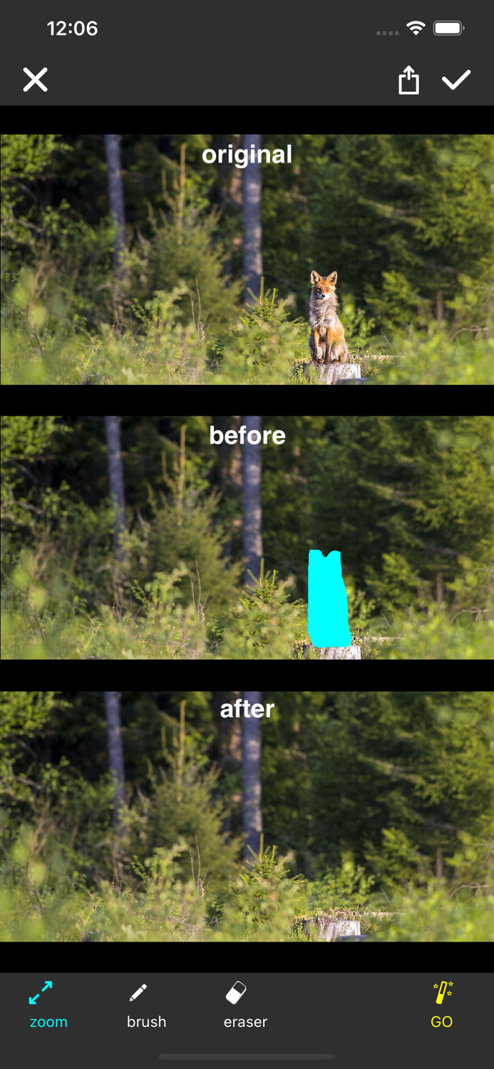 Photo AI Eraser-Object Removal