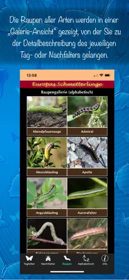 Game screenshot Europas Schmetterlinge apk
