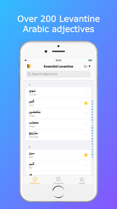 Levantine Arabic Adjectives Screenshot