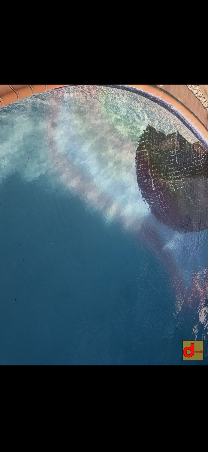 Dozak Disposable Camera