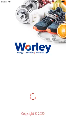 Game screenshot Worley HSE mod apk
