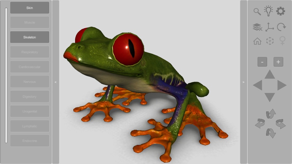 3D Frog Skeleton - 2.00 - (iOS)
