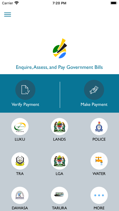 GePG Tanzania Screenshot