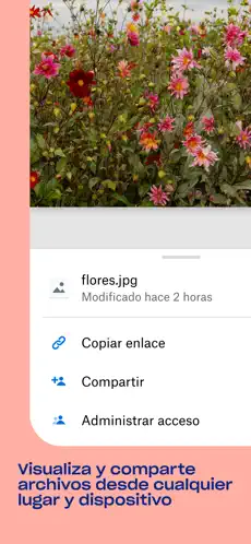 Captura 2 Dropbox iphone