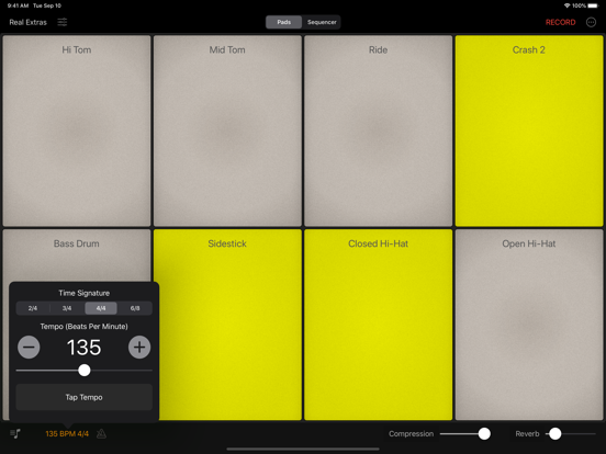 Rhythm Pad Pro iPad app afbeelding 7