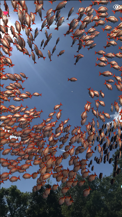 School of fish AR Screenshot