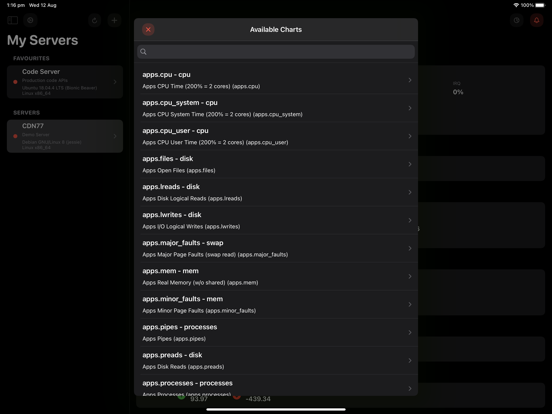 Netdata server monitoring iPad app afbeelding 4