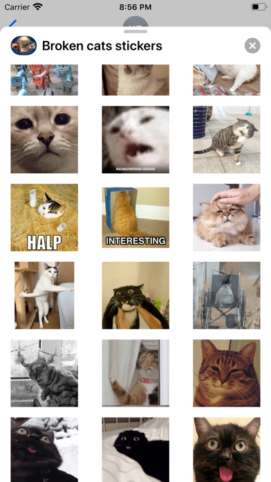 Screenshot #3 pour Broken cats stickers