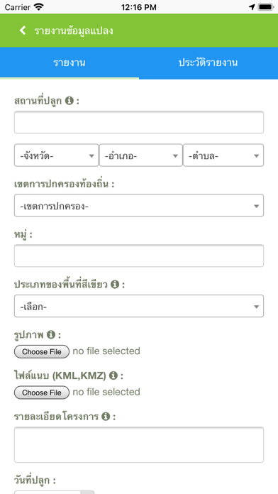 Green Area Screenshot