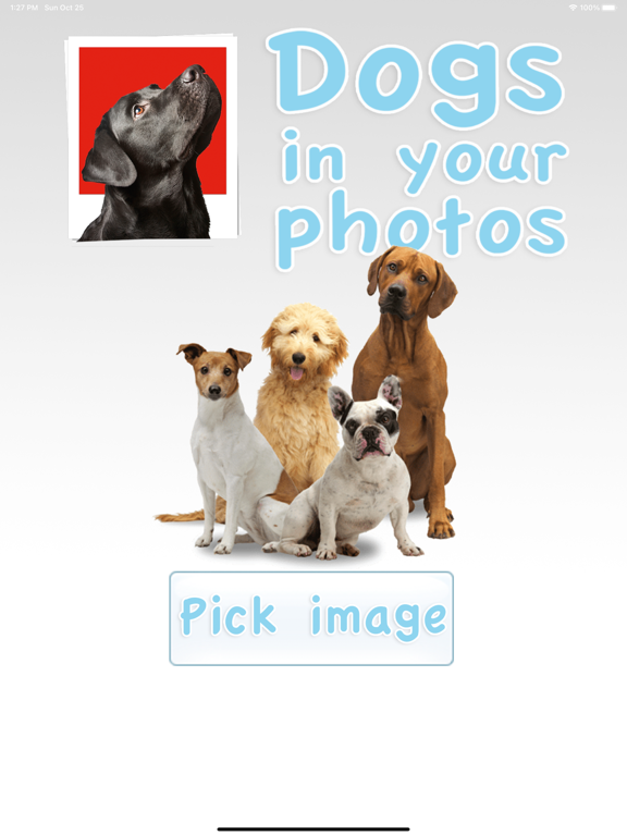 Screenshot #4 pour Chiens dans vos photos