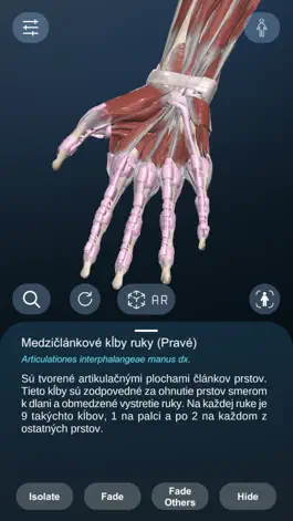 Game screenshot High School Anatomy 21 apk