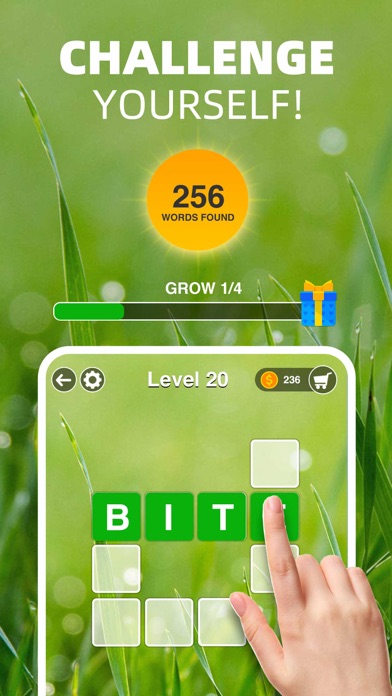 Zen Word Puzzle Screenshot