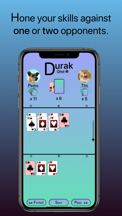 DurakOne Screenshot