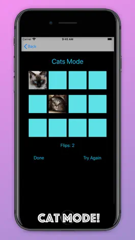 Game screenshot Animal Assort apk