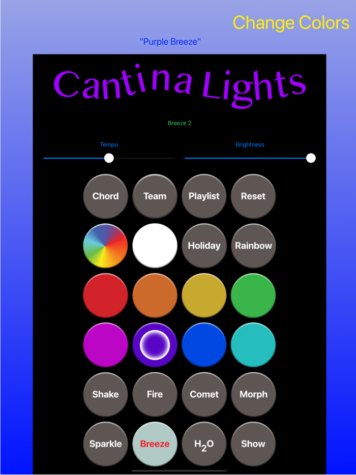 Cantina Lights
