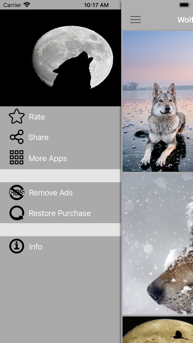 Wolf Backgrounds HD Screenshot