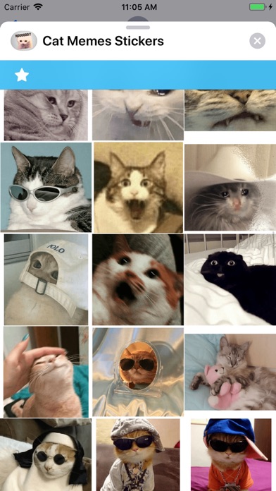 Cat Memes Stickers Screenshot