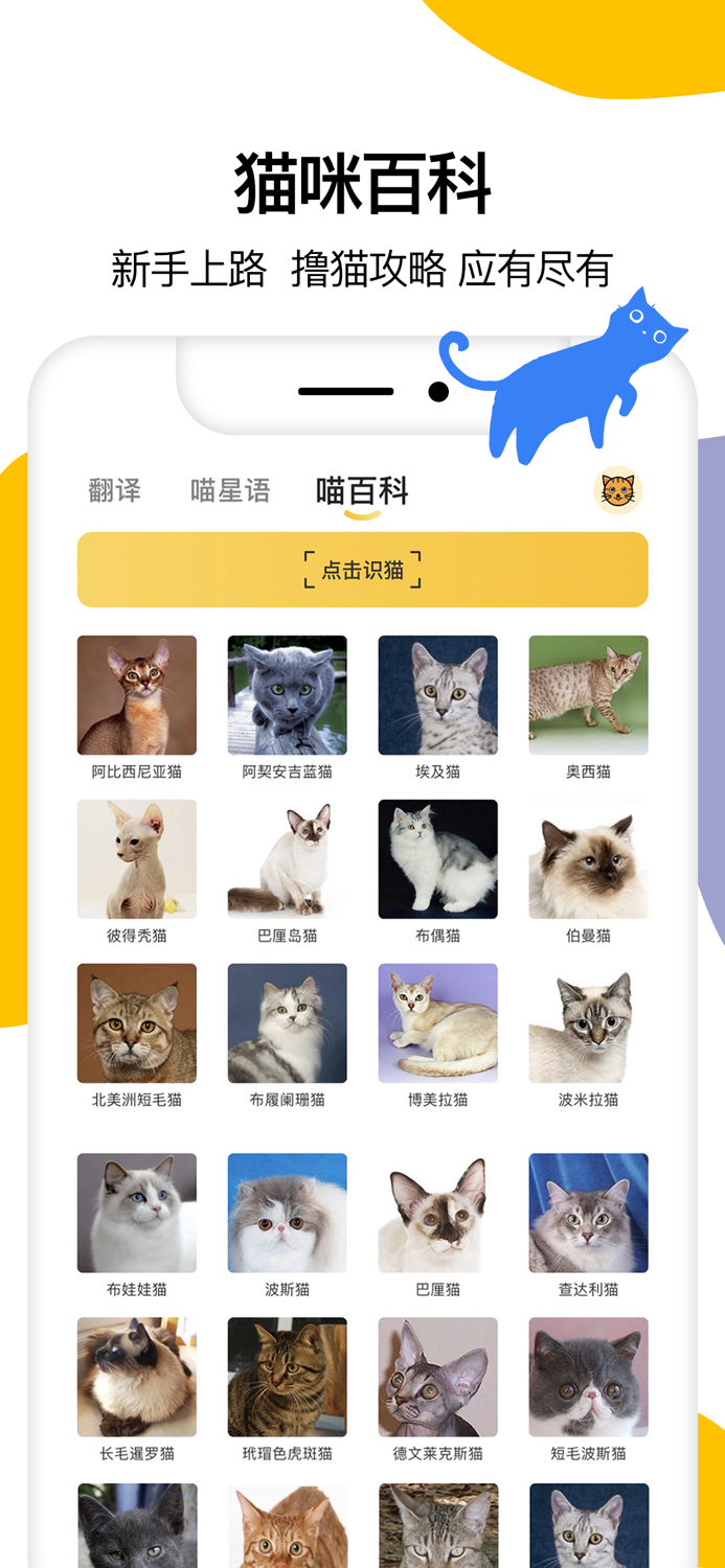 猫语翻译-宠物猫咪翻译器
