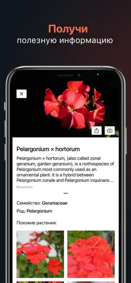 Game screenshot Определение растений и цветов hack