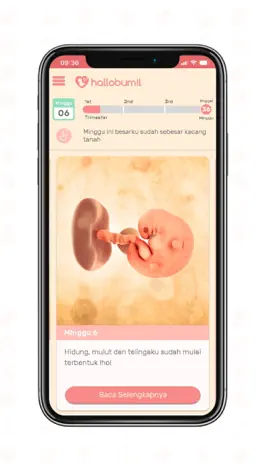 Game screenshot Hallobumil: Aplikasi Kehamilan hack