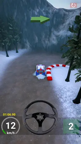 Game screenshot RallyMaster 3D hack