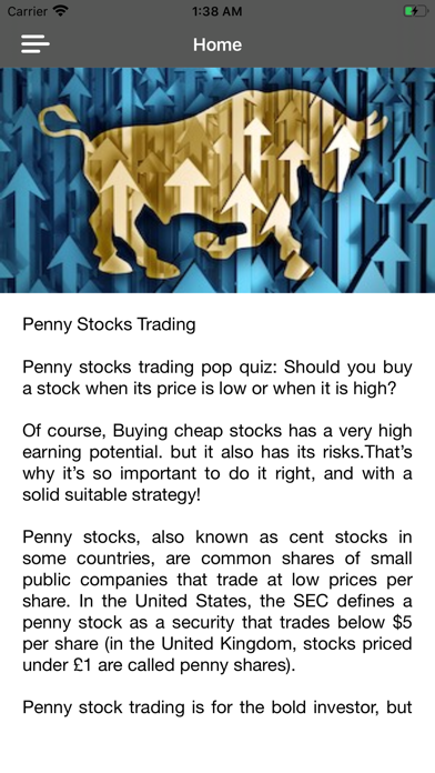 Penny Stocks trading Course Screenshot