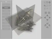3d frog skeleton ipad images 2