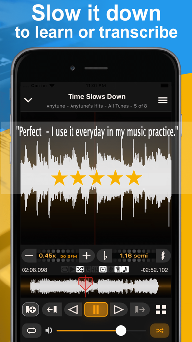 Anytune Pro+ Screenshot