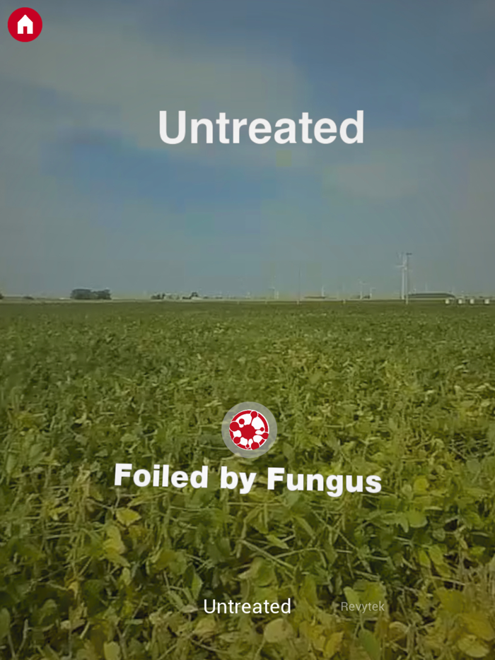 BASF Revytek™ AR Portal