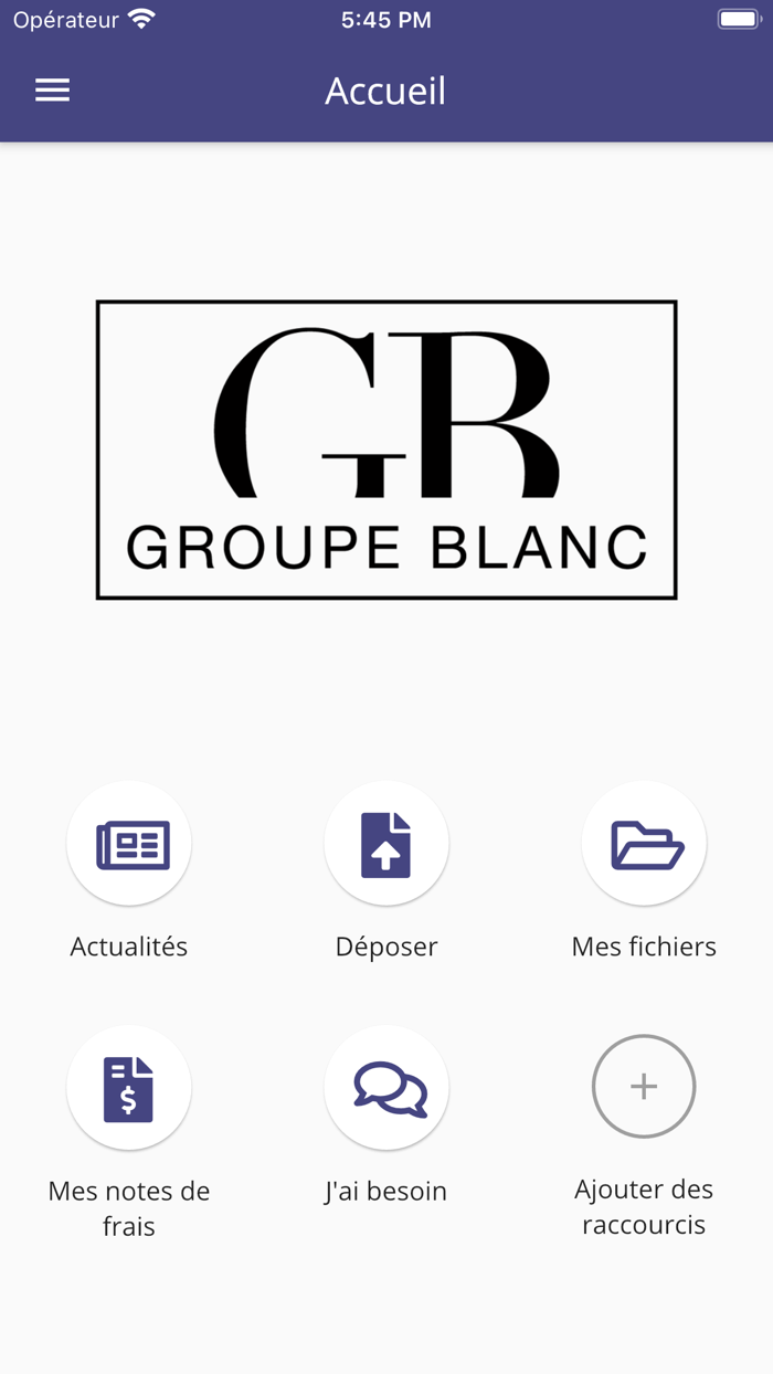 GROUPE BLANC