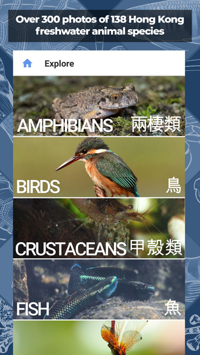 Freshwater Species: Hong Kong Screenshot