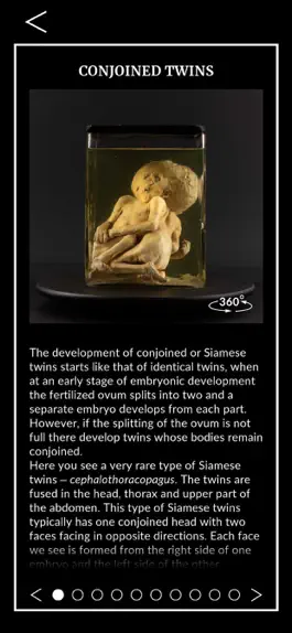 Game screenshot RSU Museum hack