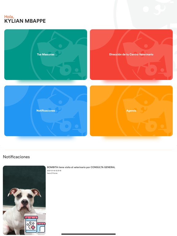 Screenshot #4 pour TornadoPet
