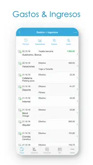 presupuesto -ingresos y gastos iphone capturas de pantalla 2