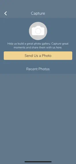 Game screenshot St. Vincent de Paul - Albany hack