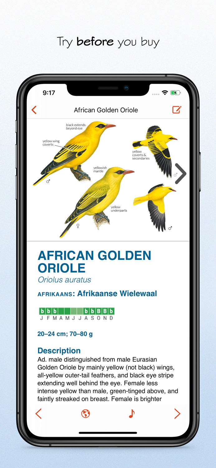 Sasol eBirds South Africa LITE