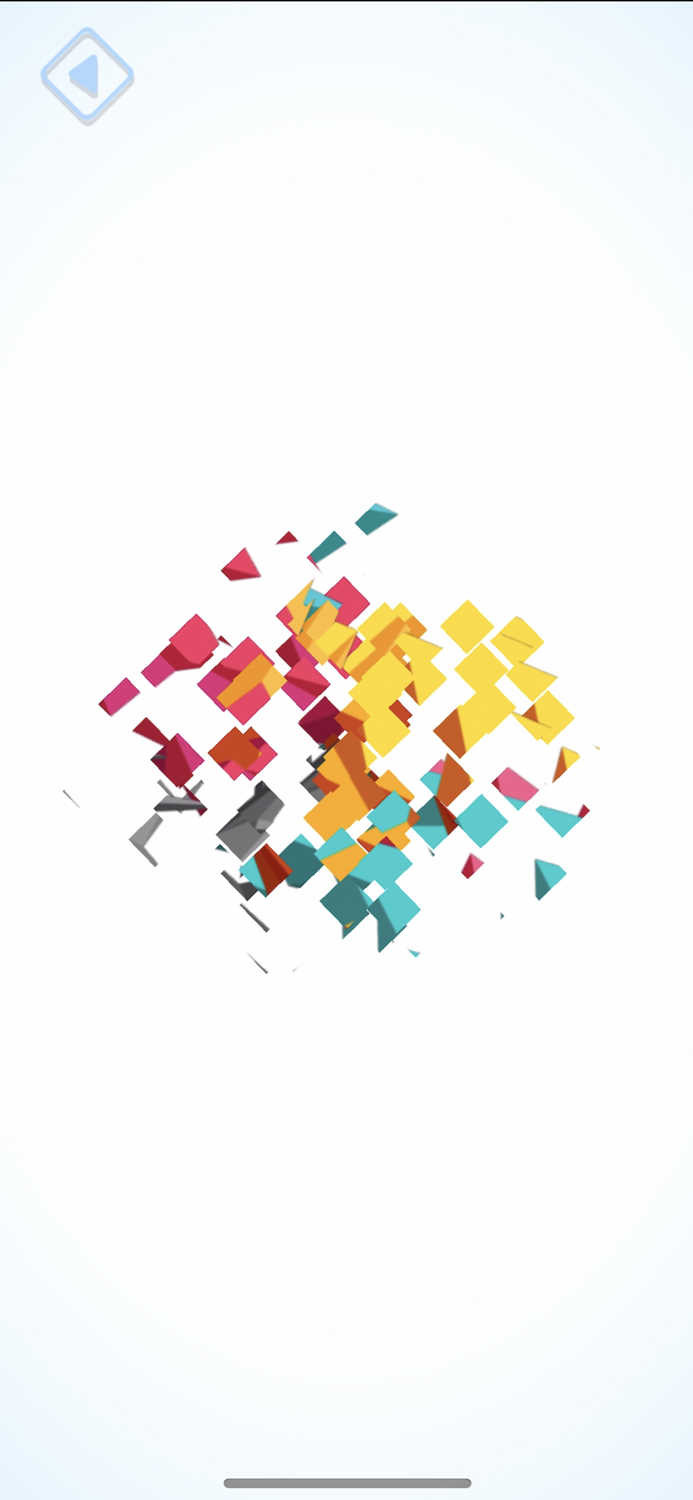 POLY BRAIN PUZZLE ART 3D