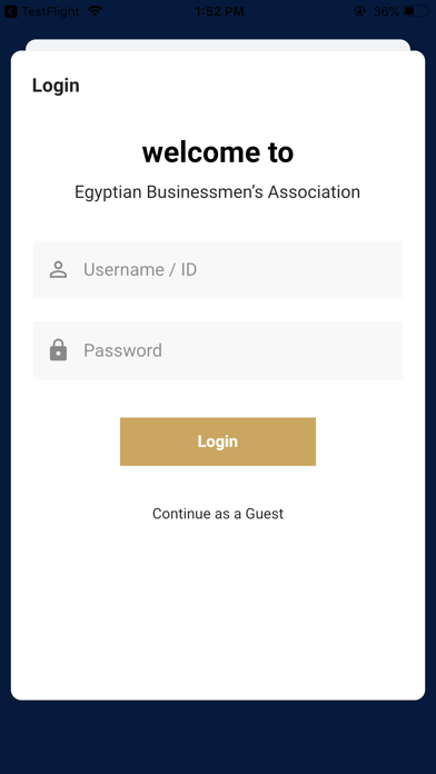 Egyptian Business Association Screenshot