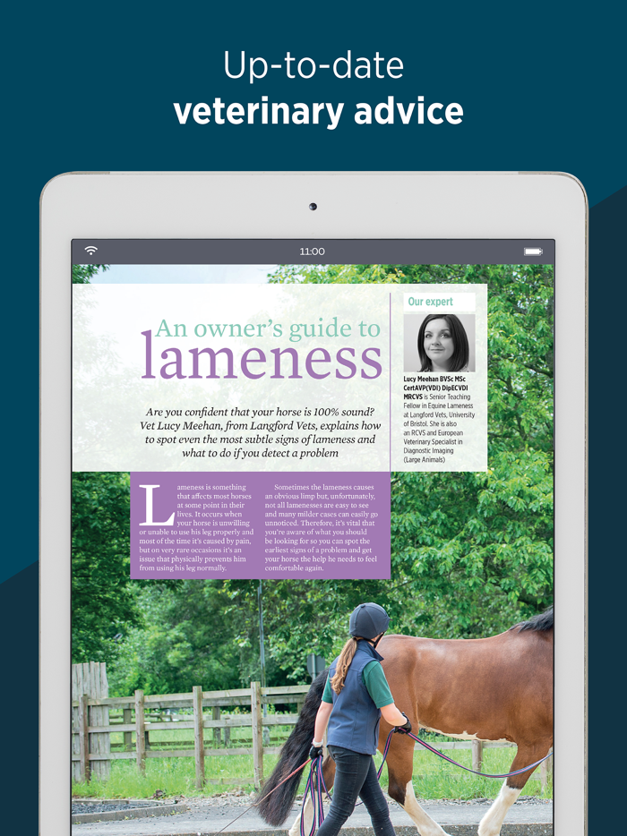 Horse and Rider Magazine