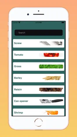 Game screenshot English French Basic Words mod apk